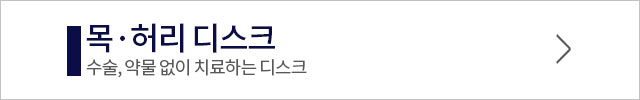 디스크 안내