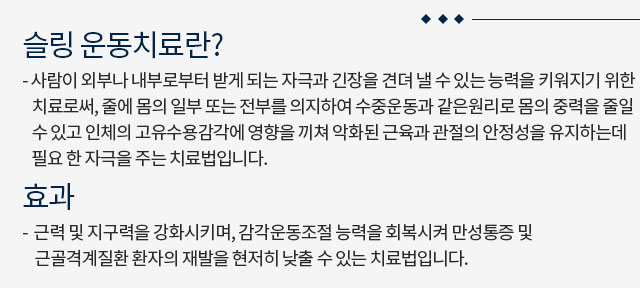 슬링 운동치료 내용